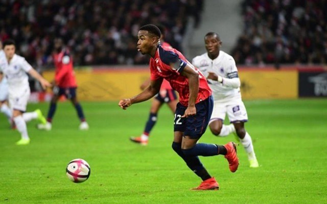 費德勒在職 費德勒在職